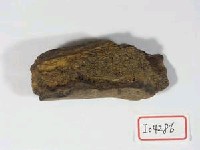 藏品(破骨一塊)的圖片